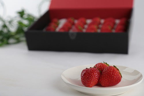 【贈答用・ギフト】天空の高原いちご　SMALLBOX品種なつおとめ　300ｇ